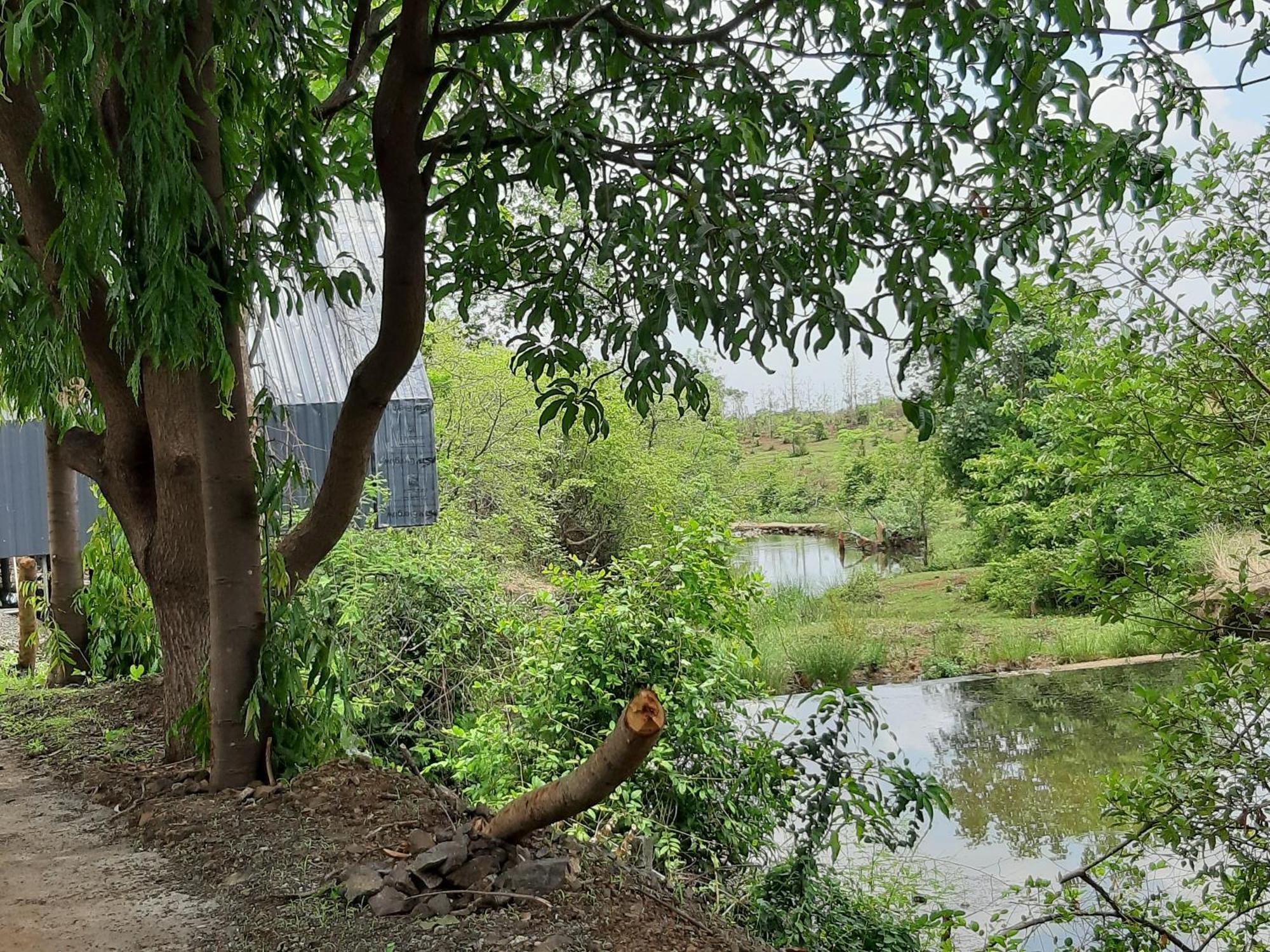 River Ranch Saralgaon Экстерьер фото